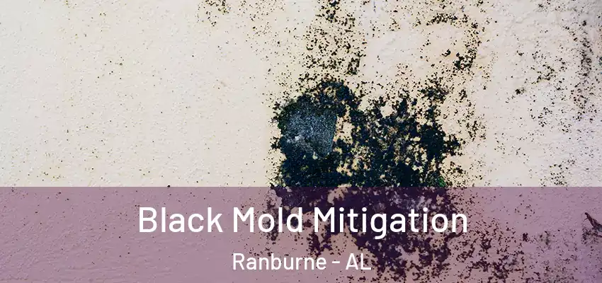  Black Mold Mitigation Ranburne - AL