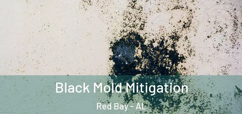  Black Mold Mitigation Red Bay - AL