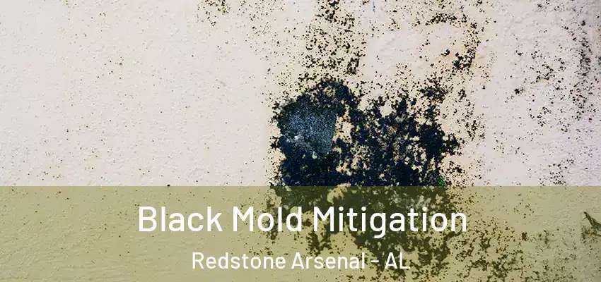  Black Mold Mitigation Redstone Arsenal - AL