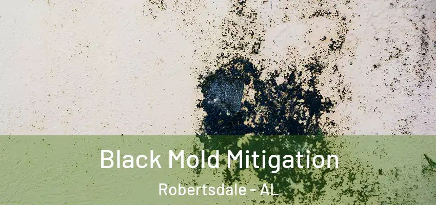  Black Mold Mitigation Robertsdale - AL