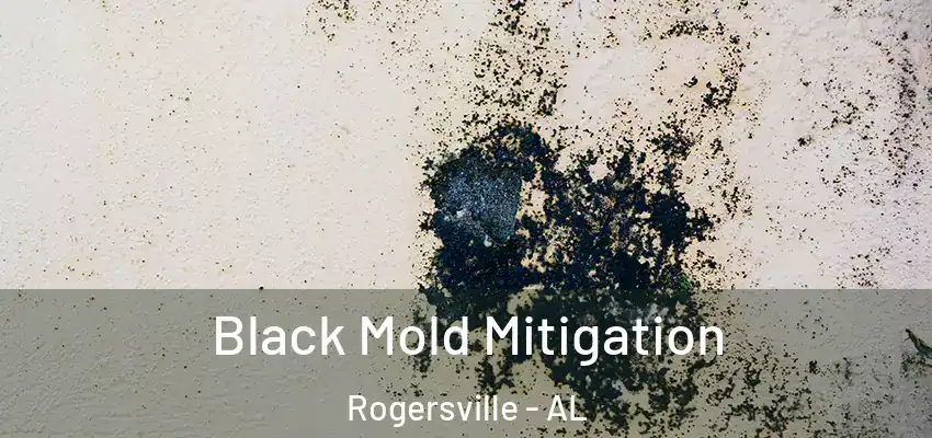 Black Mold Mitigation Rogersville - AL