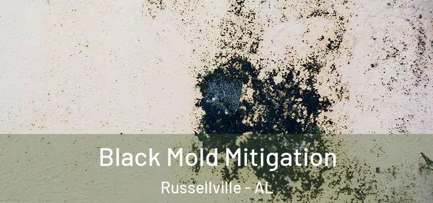 Black Mold Mitigation Russellville - AL