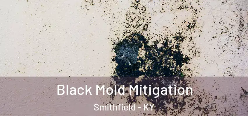  Black Mold Mitigation Smithfield - KY