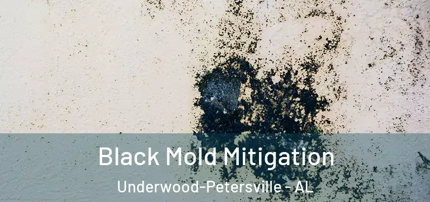  Black Mold Mitigation Underwood-Petersville - AL