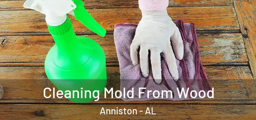  Cleaning Mold From Wood Anniston - AL