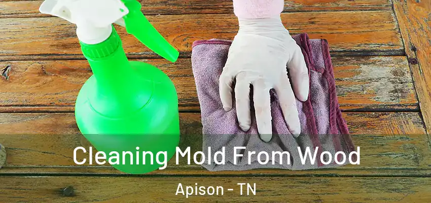  Cleaning Mold From Wood Apison - TN