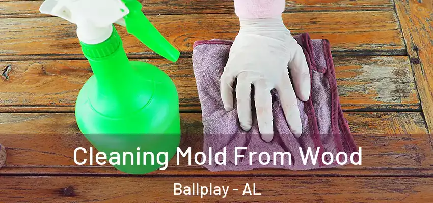  Cleaning Mold From Wood Ballplay - AL