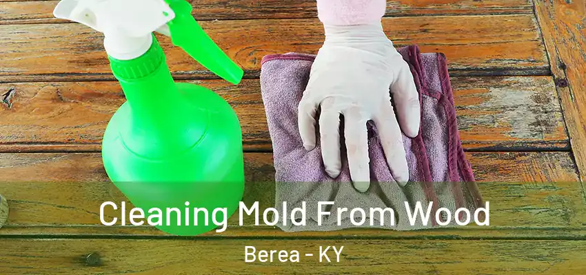  Cleaning Mold From Wood Berea - KY
