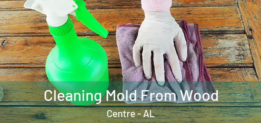 Cleaning Mold From Wood Centre - AL