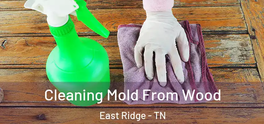  Cleaning Mold From Wood East Ridge - TN