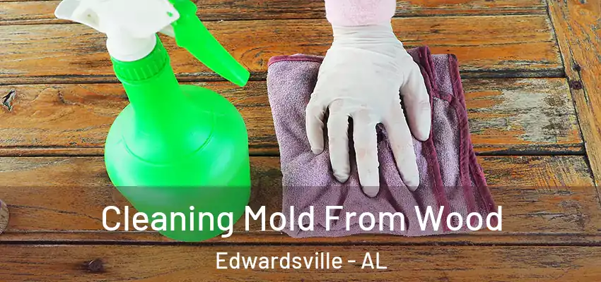  Cleaning Mold From Wood Edwardsville - AL