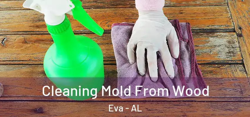  Cleaning Mold From Wood Eva - AL