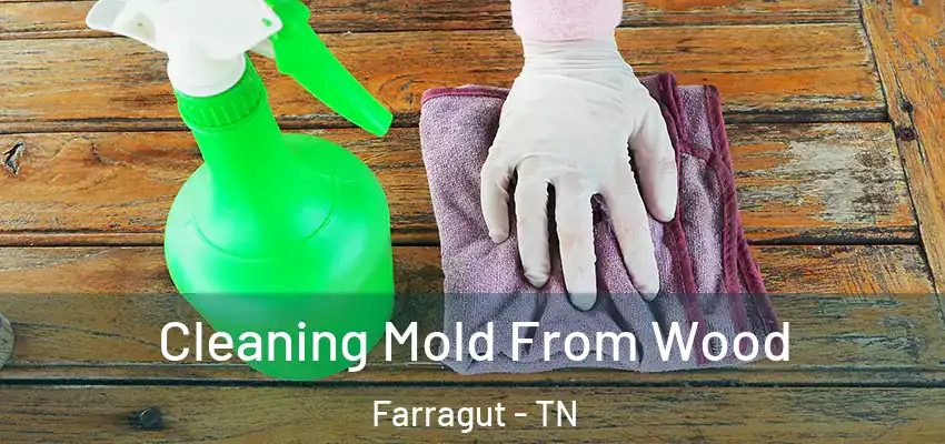 Cleaning Mold From Wood Farragut - TN