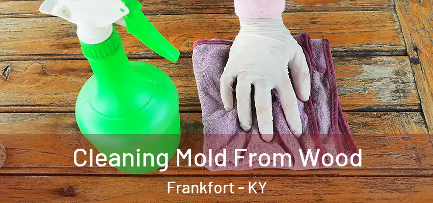 Cleaning Mold From Wood Frankfort - KY