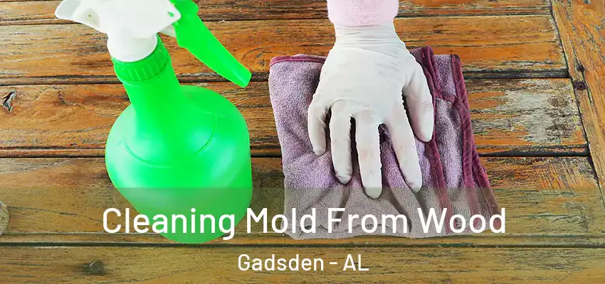  Cleaning Mold From Wood Gadsden - AL