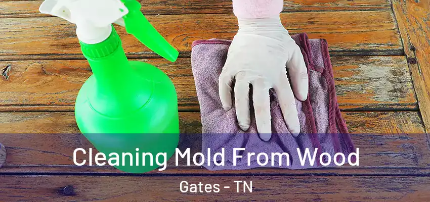  Cleaning Mold From Wood Gates - TN