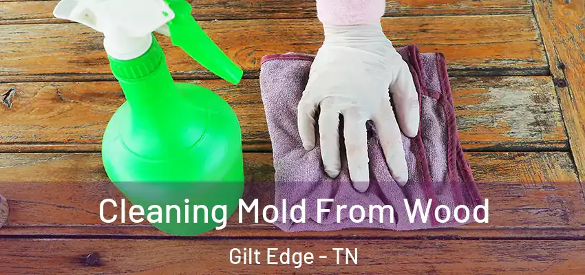  Cleaning Mold From Wood Gilt Edge - TN