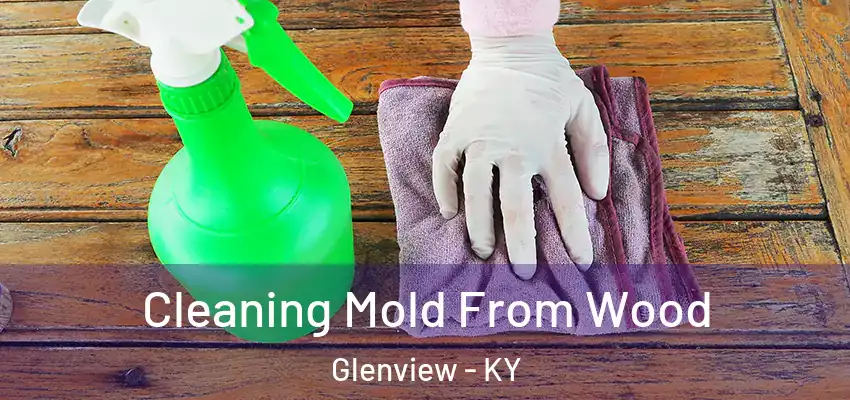  Cleaning Mold From Wood Glenview - KY