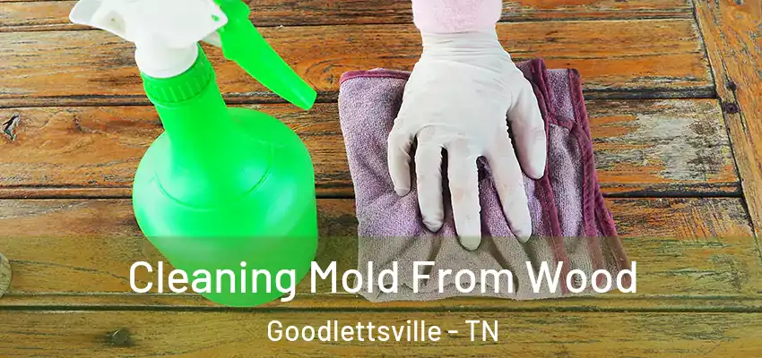 Cleaning Mold From Wood Goodlettsville - TN