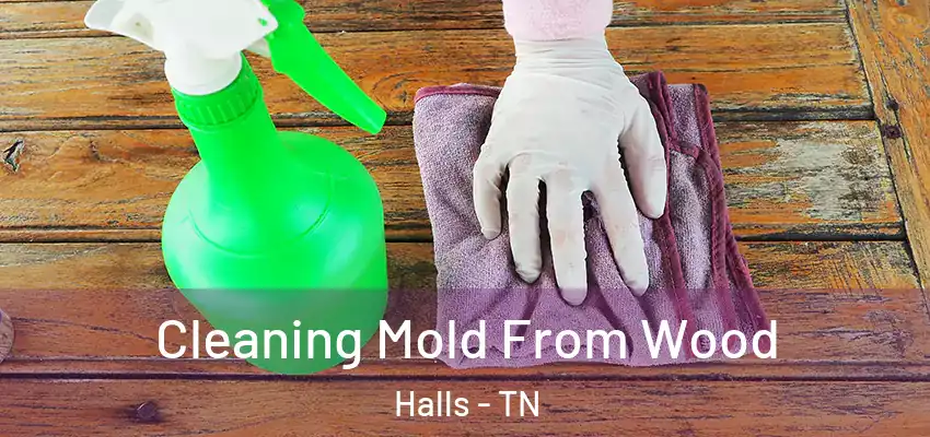  Cleaning Mold From Wood Halls - TN