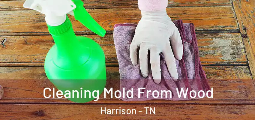  Cleaning Mold From Wood Harrison - TN