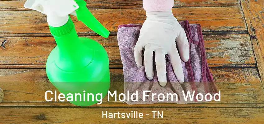 Cleaning Mold From Wood Hartsville - TN