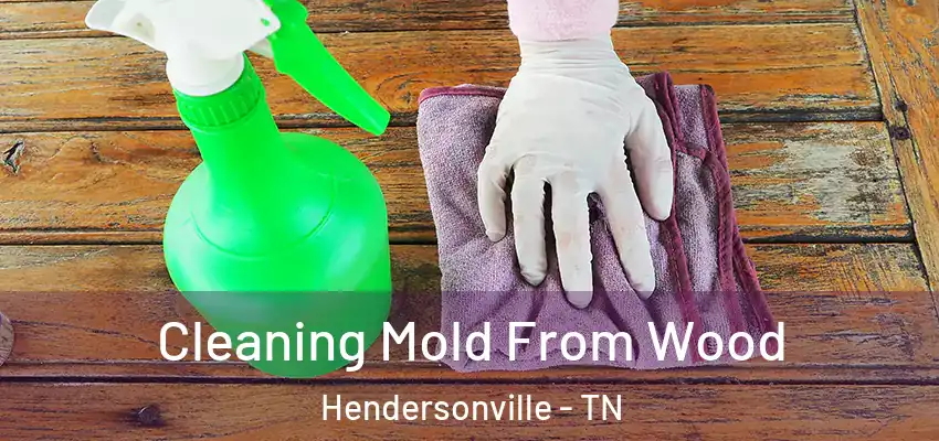 Cleaning Mold From Wood Hendersonville - TN