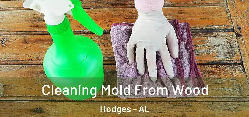 Cleaning Mold From Wood Hodges - AL