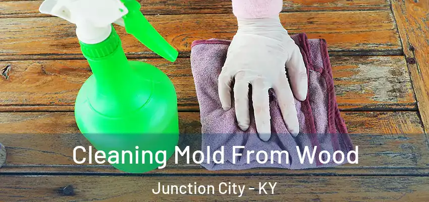 Cleaning Mold From Wood Junction City - KY