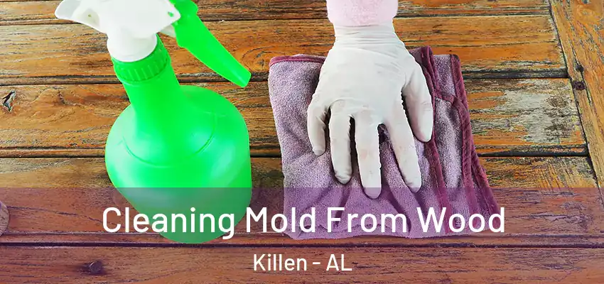 Cleaning Mold From Wood Killen - AL