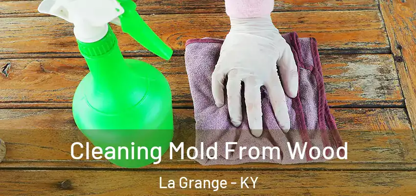 Cleaning Mold From Wood La Grange - KY