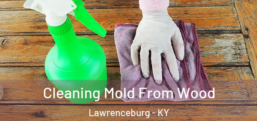 Cleaning Mold From Wood Lawrenceburg - KY