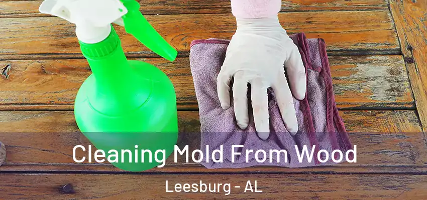 Cleaning Mold From Wood Leesburg - AL
