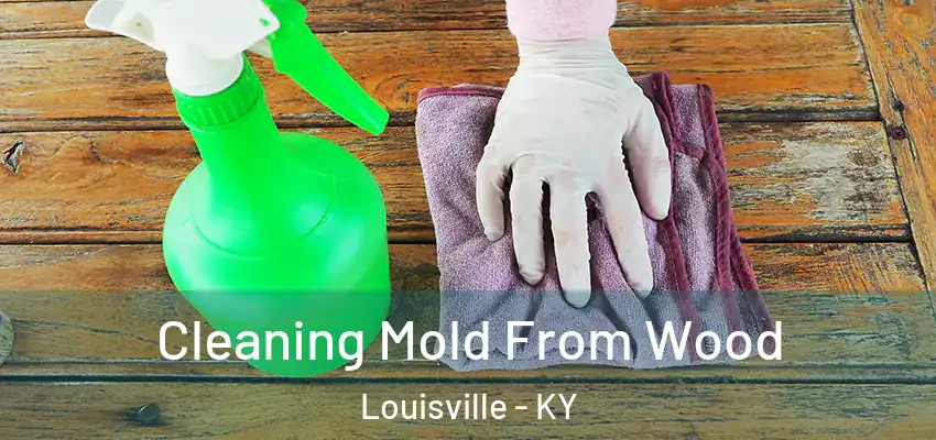 Cleaning Mold From Wood Louisville - KY