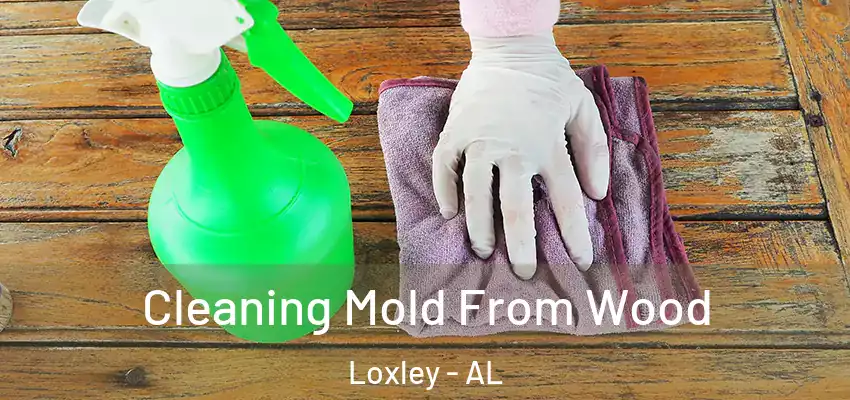  Cleaning Mold From Wood Loxley - AL