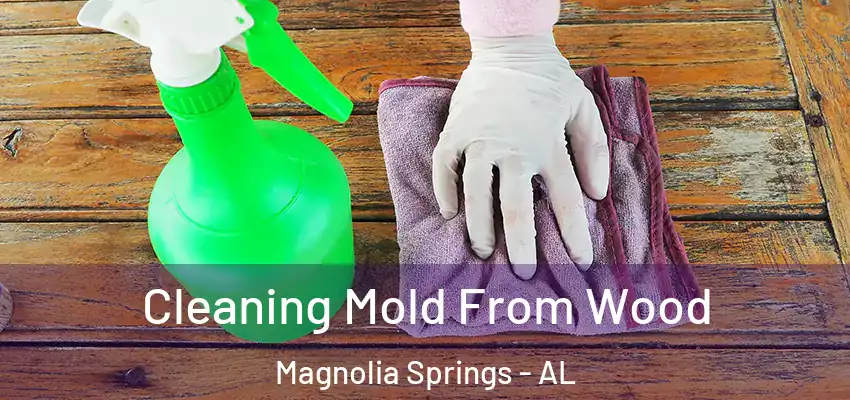  Cleaning Mold From Wood Magnolia Springs - AL