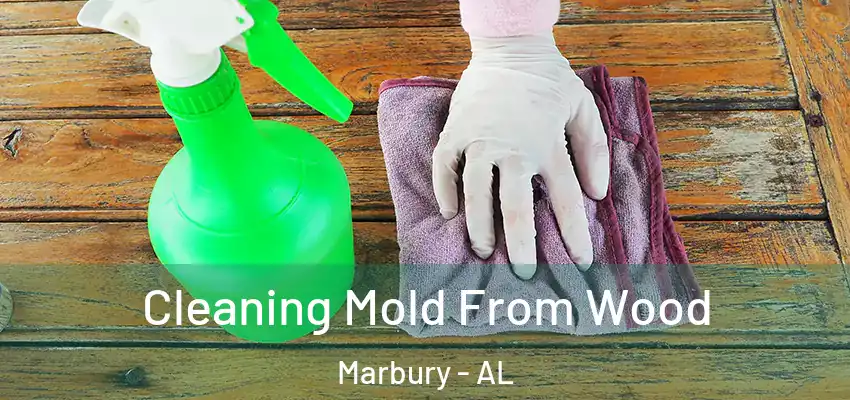 Cleaning Mold From Wood Marbury - AL