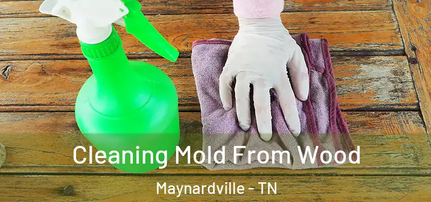 Cleaning Mold From Wood Maynardville - TN