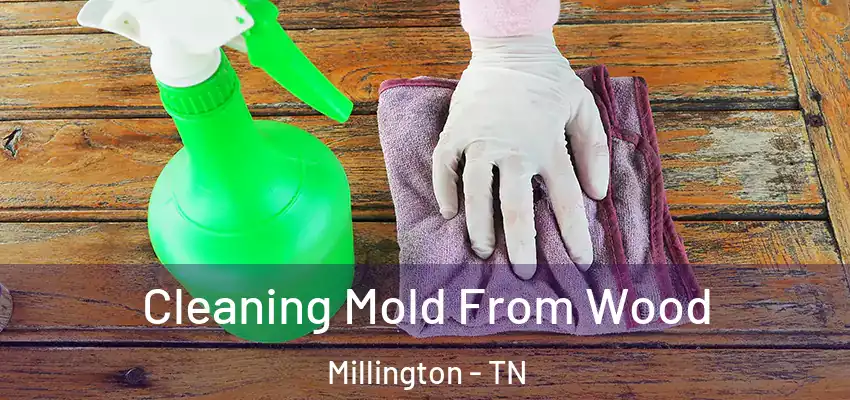  Cleaning Mold From Wood Millington - TN