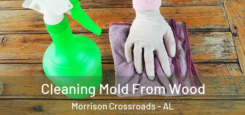  Cleaning Mold From Wood Morrison Crossroads - AL