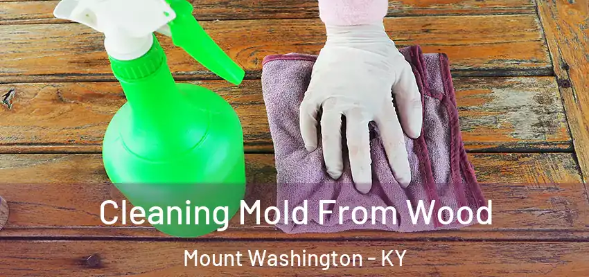  Cleaning Mold From Wood Mount Washington - KY