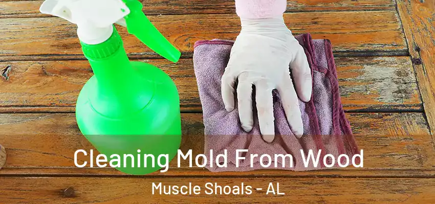 Cleaning Mold From Wood Muscle Shoals - AL