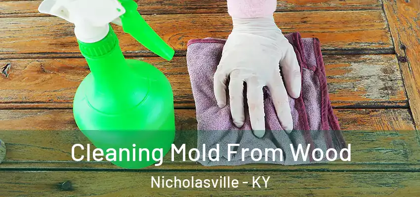 Cleaning Mold From Wood Nicholasville - KY