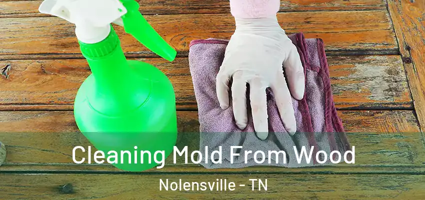 Cleaning Mold From Wood Nolensville - TN