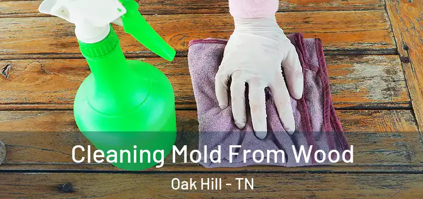 Cleaning Mold From Wood Oak Hill - TN