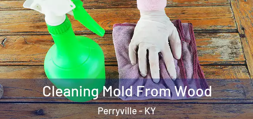 Cleaning Mold From Wood Perryville - KY