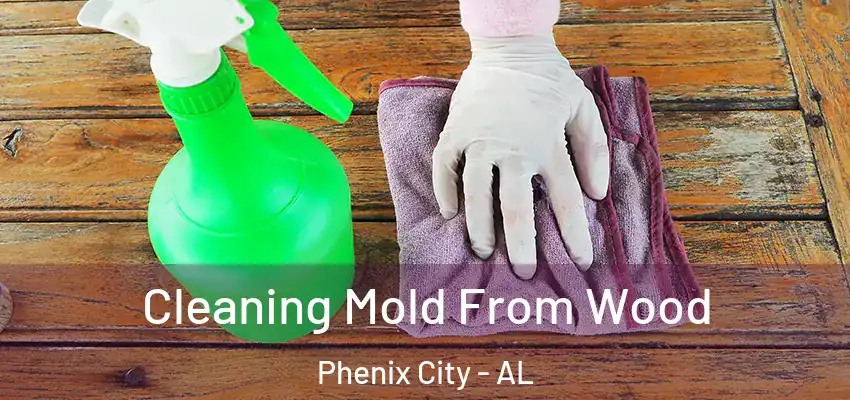  Cleaning Mold From Wood Phenix City - AL