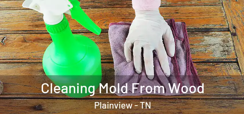  Cleaning Mold From Wood Plainview - TN