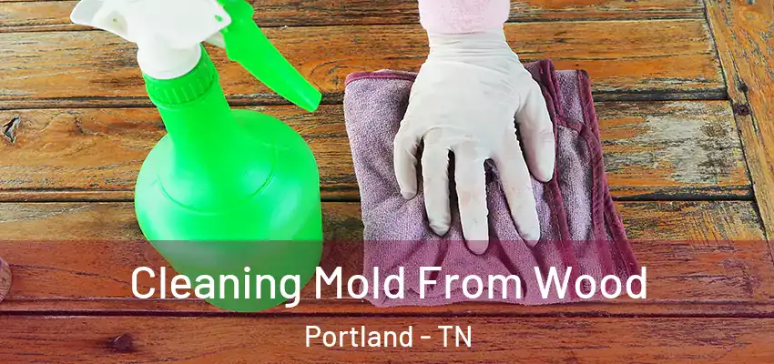  Cleaning Mold From Wood Portland - TN