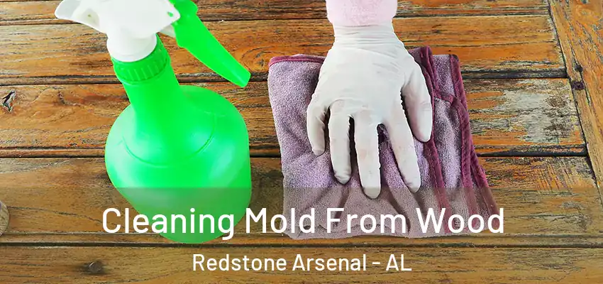  Cleaning Mold From Wood Redstone Arsenal - AL